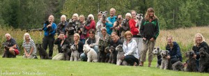 Gruppfoto på dom som gick med hund i helgen! Foto Johanna S